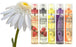 Difeel Endless Love Body Mist 10-PC Gift Set