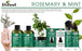 Difeel Rosemary and Mint Strengthening Leave-In Conditioning Spray with Biotin 6 oz.