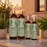 Difeel Signature Strengthening Leave in Spray with Rosemary & Mint 8 oz.