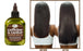Difeel Caffeine & Castor Premium Hair Oil 7.1 Ounce - Deluxe 2-PC Gift Set