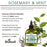 Difeel Rosemary and Mint Root Stimulator with Biotin 2.5 oz.