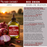 Hair Chemist Growth & Thickness Red Onion Pro-Growth Hair Oil Blend 7.1 oz.