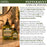 Difeel Peppermint Hair Oil Blend - Travel Size 2.5 oz.