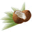 Difeel Luxury Moisturizing Hand Cream - Coconut Oil 1.4 oz.