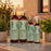 Difeel Signature Strengthening Hair Oil Blend with Rosemary & Mint 8 Ounce