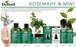 Difeel Rosemary and Mint Premium Hair Oil with Biotin 2.5 oz.