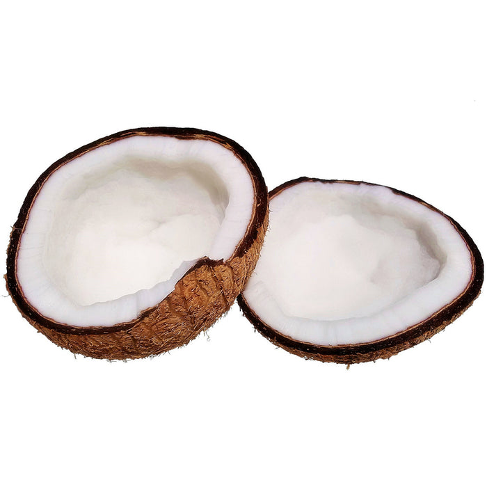Dermactin-TS 100% Natural Lip Balm - Coconut (3-Pack)