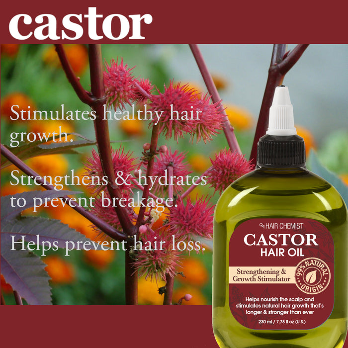 Nature's Spirit Castor Oil Shampoo and Conditioner Collection 4-Piece Hair Care Collection