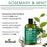 Difeel Rosemary & Mint Hair Strengthening Shampoo & Conditioner with Biotin 12 oz. 2-PC Set